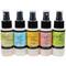 Lindy's Stamp Gang® Starburst Sprays Mermaid Seashells Set, 2oz.